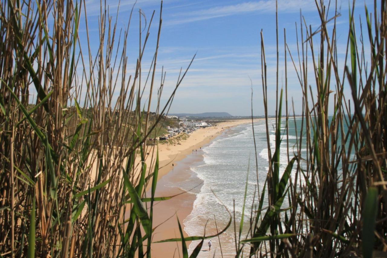 Estudio En El Centro De Conil Conil De La Frontera Bagian luar foto