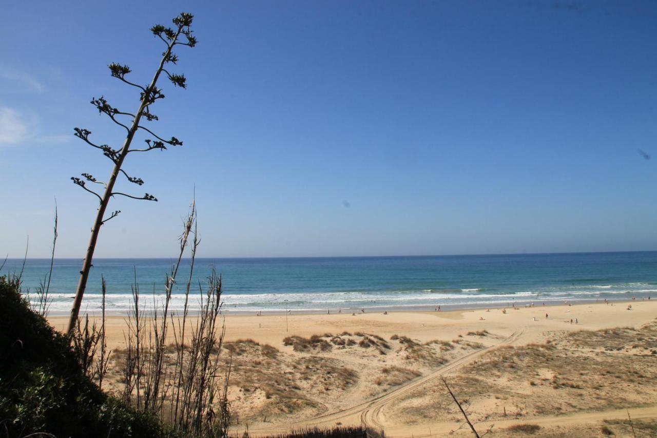 Estudio En El Centro De Conil Conil De La Frontera Bagian luar foto